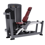 ARC LEG PRESS